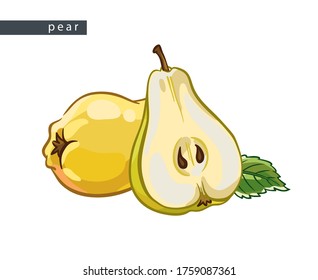 sketch yellow pears: one whole, one half and leaf