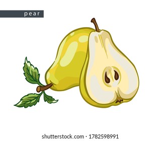 sketch yellow pears: one whole and half