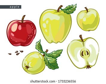 sketch yellow and red apples: 
set of five drawings