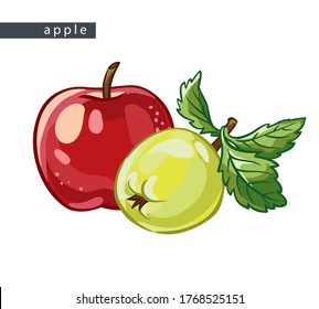 sketch yellow and red apples: 
two whole fruits and leaves