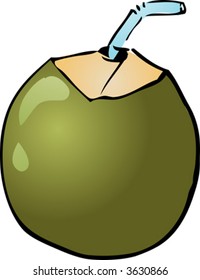 Sketch of an young green coconut. Hand-drawn lineart look illustration