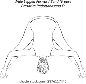 Sketch of young woman doing yoga Prasarita Padottanasana D. Wide Legged Forward Bend 4 pose. Intermediate Difficulty. Isolated vector illustration.