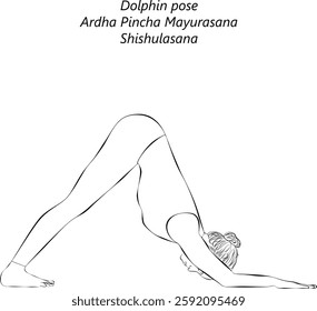 Sketch of young woman practicing Ardha Pincha Mayurasana yoga pose. Dolphin pose or Turbo Dog pose. Shishulasana. Isolated vector illustration.