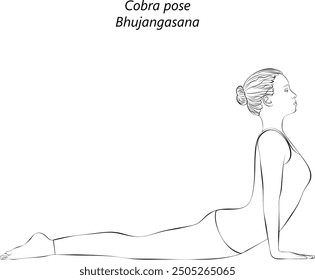 Sketch of young woman practicing Bhujangasana yoga pose. Cobra pose. Intermediate Difficulty. Isolated vector illustration.