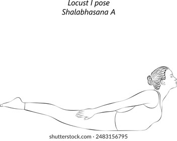 Sketch of young woman practicing Shalabhasana A yoga pose. Locust I pose. Intermediate Difficulty. Isolated vector illustration.