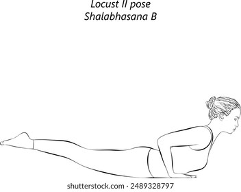 Sketch of young woman practicing Shalabhasana B yoga pose. Locust II pose. Intermediate Difficulty. Isolated vector illustration.