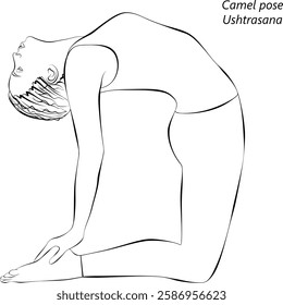 Sketch of young woman practicing Ushtrasana yoga pose. Camel pose. Isolated vector illustration.