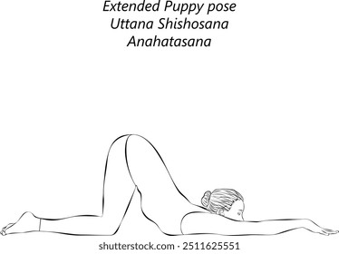 Sketch of young woman practicing Uttana Shishosana yoga pose. Anahatasana. Extended Puppy pose. Intermediate Difficulty. Isolated vector illustration.