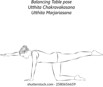 Sketch of young woman practicing Utthita Chakravakasana yoga pose. Balancing Table pose or Ruddy Goose pose. Isolated vector illustration.