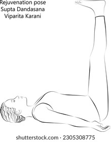 Sketch of young woman practicing yoga, doing Rejuvenation pose or Supine Staff pose. Supta Dandasana or Viparita Karani. Supine and Balancing. Vector illustration isolated on transparent background.