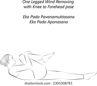 Sketch of young woman practicing yoga, doing One Legged Wind Removing with Knee to Forehead pose. Eka Pada Pavanamuktasana. Eka Pada Apanasana. Vector illustration isolated on transparent background.