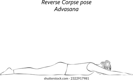 Sketch of young woman practicing yoga, doing Reverse Corpse pose. Advasana. Prone and Neutral. Beginner. Isolated vector illustration.