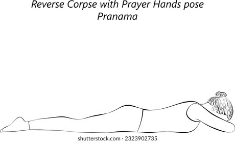 Sketch of young woman practicing yoga, doing Reverse Corpse with Prayer Hands pose. Pranama. Prone and Neutral. Beginner. Isolated vector illustration.