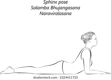 Sketch of young woman practicing yoga, doing Sphinx pose. Salamba Bhujangasana. Naraviralasana. Backbend. Prone and Backbend. Beginner.  Isolated vector illustration.