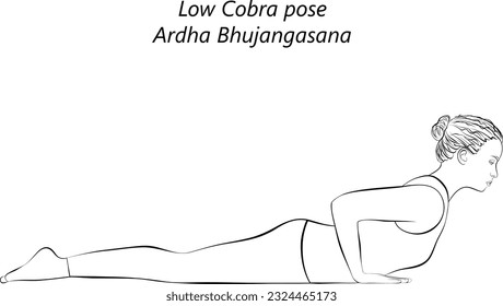 Skizze von jungen Frauen, die Yoga praktizieren, eine niedrige Cobra-Pose oder Baby-Cobra-Pose machen. Ardha Bhujangasana. Rückbiegung. Prone und Backbiege. Anfänger.  Einzige Vektorgrafik.