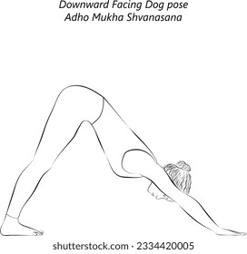 Sketch of young woman practicing yoga, doing Downward Facing Dog pose. Adho Mukha Shvanasana. Arm Leg Support and Forward Bend. Beginner. Isolated vector illustration.