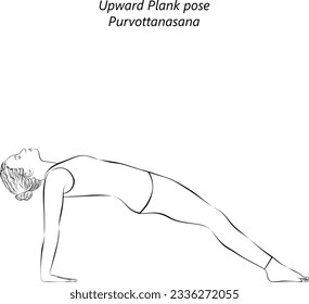 Skizze von jungen Frauen, die Yoga praktizieren, Aufwärtsplank oder Reverse Plank tun. Pantoletten-Pose. Purvottanasana. Unterstützung für den Arm und Rückbiegung. Anfänger.  Einzige Vektorgrafik.