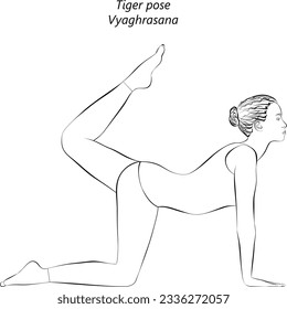 Skizze der jungen Frau, die Yoga praktiziert, Tiger Pose. Vyaghrasana. Unterstützung für den Arm und Rückbiegung. Anfänger.  Einzige Vektorgrafik.