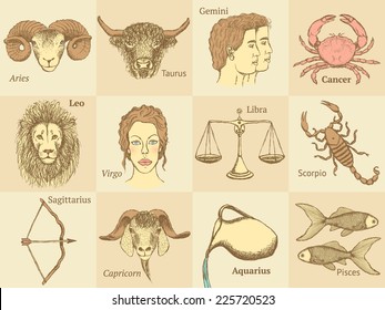 Sketch zodiac signs in vintage style, vector