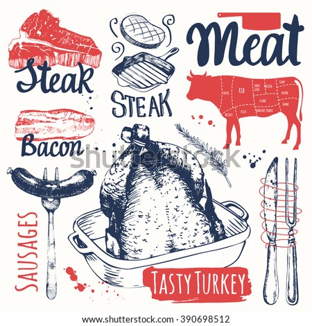 Sketchbook with various of meats. Vector illustration with with different kinds of raw beef steaks and bacon. Fresh organic products.