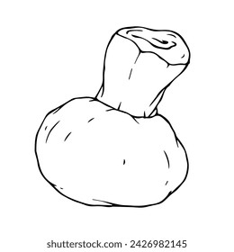 Sketch,doodle of champignon mushrooms.Vector graphics.