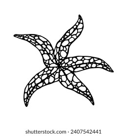 Sketch,doodle of decorative morra star.Vector graphics.