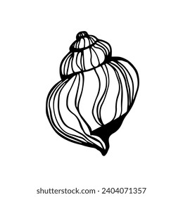 Sketch,doodle of decorative seashell.Vector graphics.