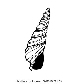 Sketch,doodle of decorative seashell.Vector graphics.