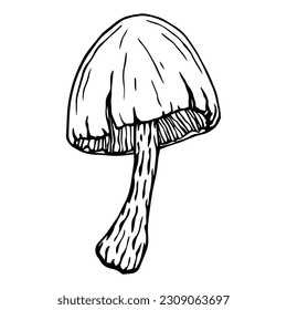 Sketch,doodle of the forest fungus toadstool.Vector graphics.