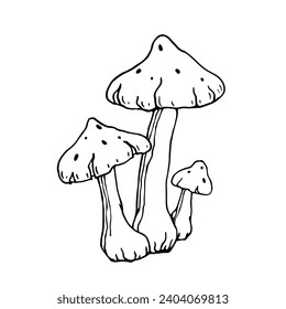Sketch,doodle of forest mushroom toadstool.Vector graphics.