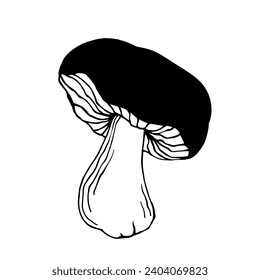 Sketch,doodle of forest mushroom toadstool.Vector graphics.
