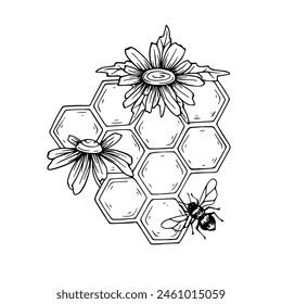 Sketch,doodle of a honeycomb with field chamomile flowers and honey bees.Vector graphics.