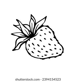 Sketch,doodles of summer strawberries.Vector graphics.