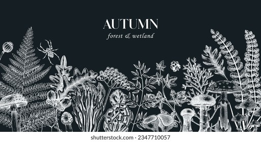 Sketched autumn background on chalkboard. Hand-drawnv illustration. Ferns, mushrooms, fall leaves, berries and autumn plant sketches. Vintage banner design template.