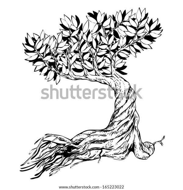 Sketched Bonsai Tree Stock Vector (Royalty Free) 165223022 | Shutterstock