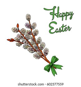 a sketched  bouquet of branches of the pussy willow with flowering bud; a hand drawn vector illustration; great for greeting cards and posters as a symbol for early spring