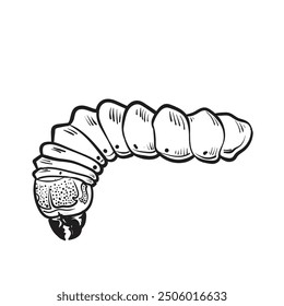 Sketched of caterpillar hand drawn butterfly vector illustration, Witchetty grub outline.