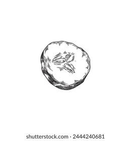 A sketched depiction of a cut cucumber, showing seed details, in a simple monochrome vector illustration.
