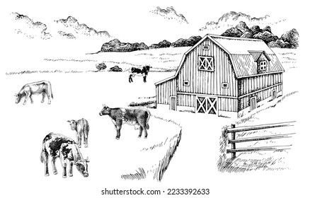 Sketched farm. Cows graze in the meadow.