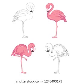 Sketched flamingos, vector, set