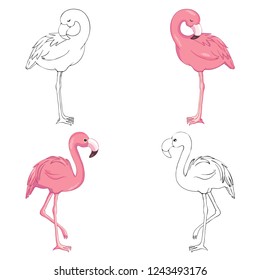 Sketched flamingos, vector, set