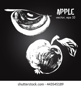 Sketched fruit illustration of apple white on blackboard. Hand drawn brush food ingredient. Vector bio and eco icon, logo design template. Concept for healthy food.