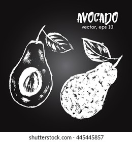 Sketched fruit illustration of avocado white on blackboard. Hand drawn brush food ingredient. Vector bio and eco icon, logo design template. Concept for healthy food.