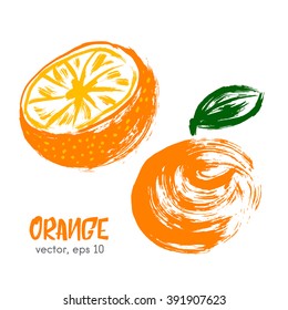 Sketched fruit illustration of orange. Hand drawn brush food ingredient. Vector bio and eco icon, logo design template. Concept for organic products, harvest, healthy food, vegetarian, raw food diet. 