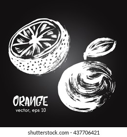 Sketched fruit illustration of orange white on blackboard. Hand drawn brush food ingredient. Vector bio and eco icon, logo design template. Concept for healthy food.