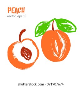 Sketched fruit illustration of peach. Hand drawn brush food ingredient. Vector bio and eco icon, logo design template. Concept for organic products, harvest, healthy food, vegetarian, raw food diet. 