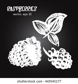 Sketched fruit illustration of raspberry white on blackboard. Hand drawn brush food ingredient. Vector bio and eco icon, logo design template. Concept for healthy food.