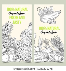 Sketched fruits and vegetables on natural market banner or card, vegetarian shop sign. Pineapple or ananas, cauliflower and napa cabbage. Organic nutrition and agriculture, brochure theme