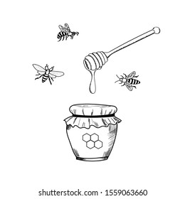 Sketched hand drawn illustration of honey jar with bee.outline isolated monochrome on white.