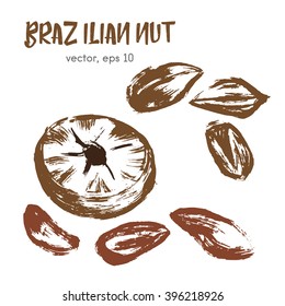Sketched illustration of brazilian nut. Hand drawn brush food ingredient. Vector bio, eco icon, logo design template. Concept for organic products, harvest, healthy food, vegetarian, raw food diet. 